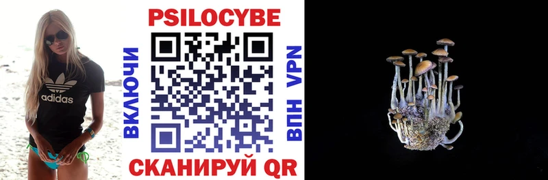Галлюциногенные грибы Psilocybe  закладки  Суоярви 