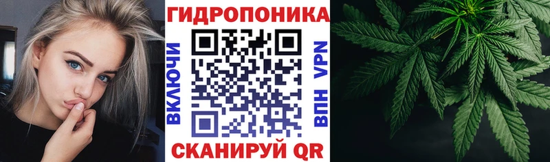 Бошки марихуана AK-47  даркнет сайт  Суоярви 